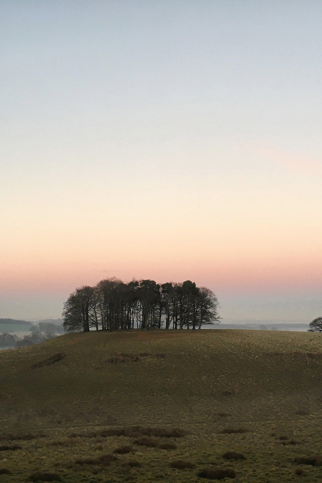 Image may contain Grassland Outdoors Field Nature Soil Mound Plant and Tree