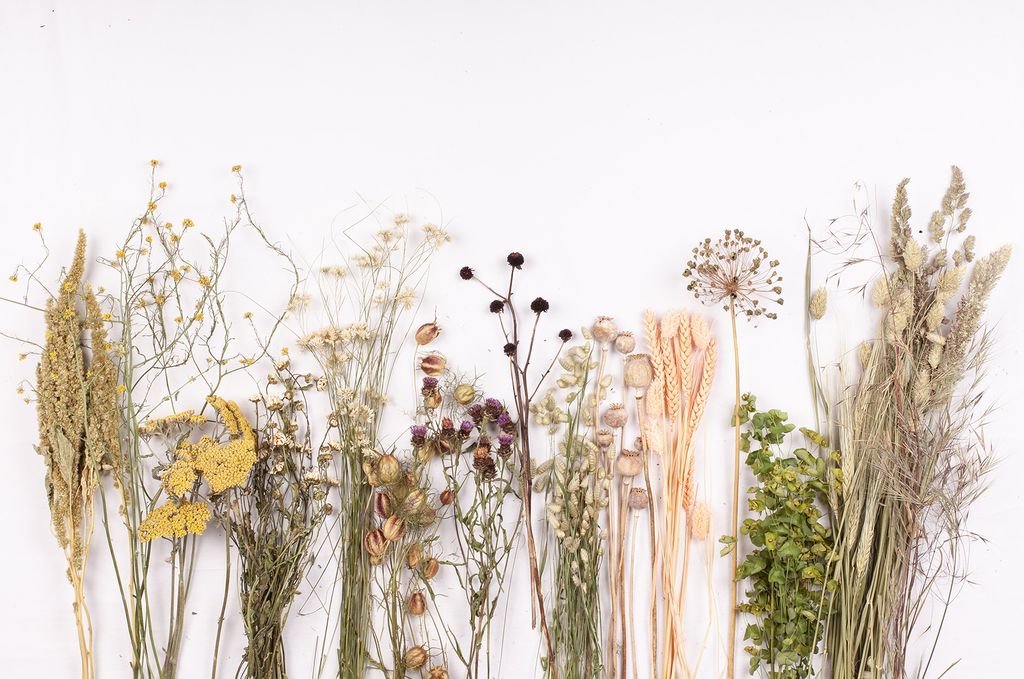 Mix of dried foraged grasses such as moor grass  Persian rye grass  and flowering rye grass    Mix of dried foraged...