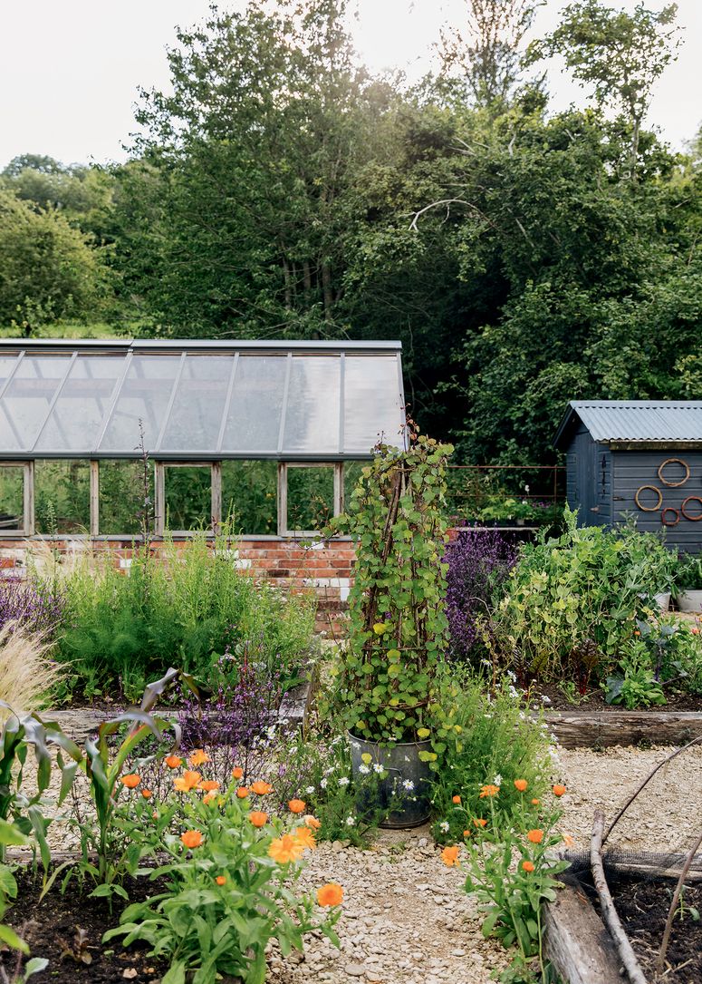 Image may contain: Outdoors, Garden, Plant, and Nature