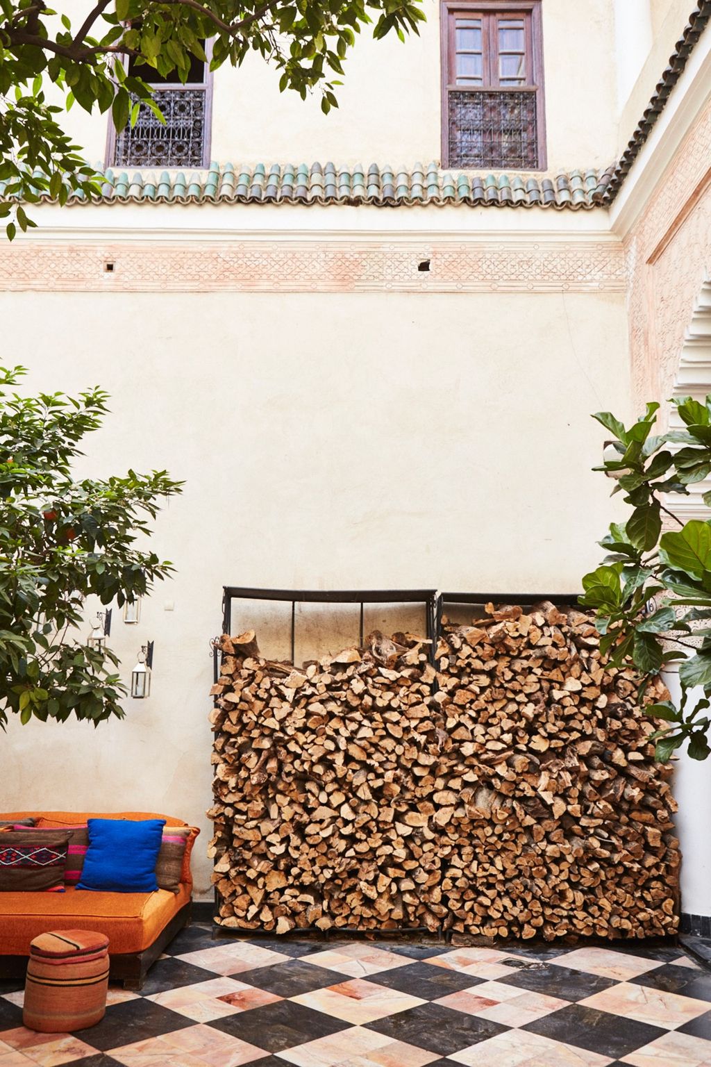 Image may contain Plant Tree Wood and Rug