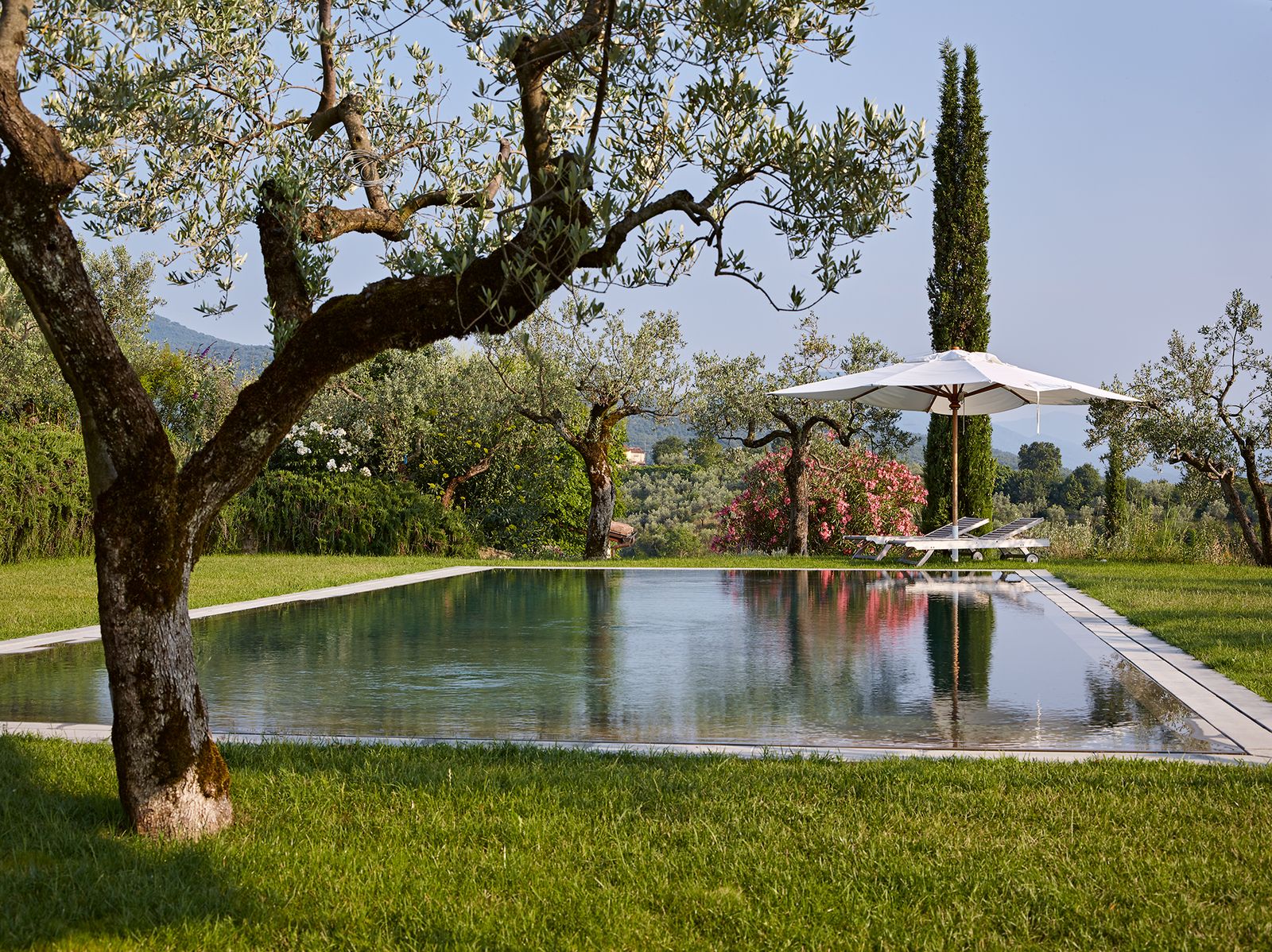 Image may contain Plant Tree Outdoors Grass Tree Trunk Nature and Water