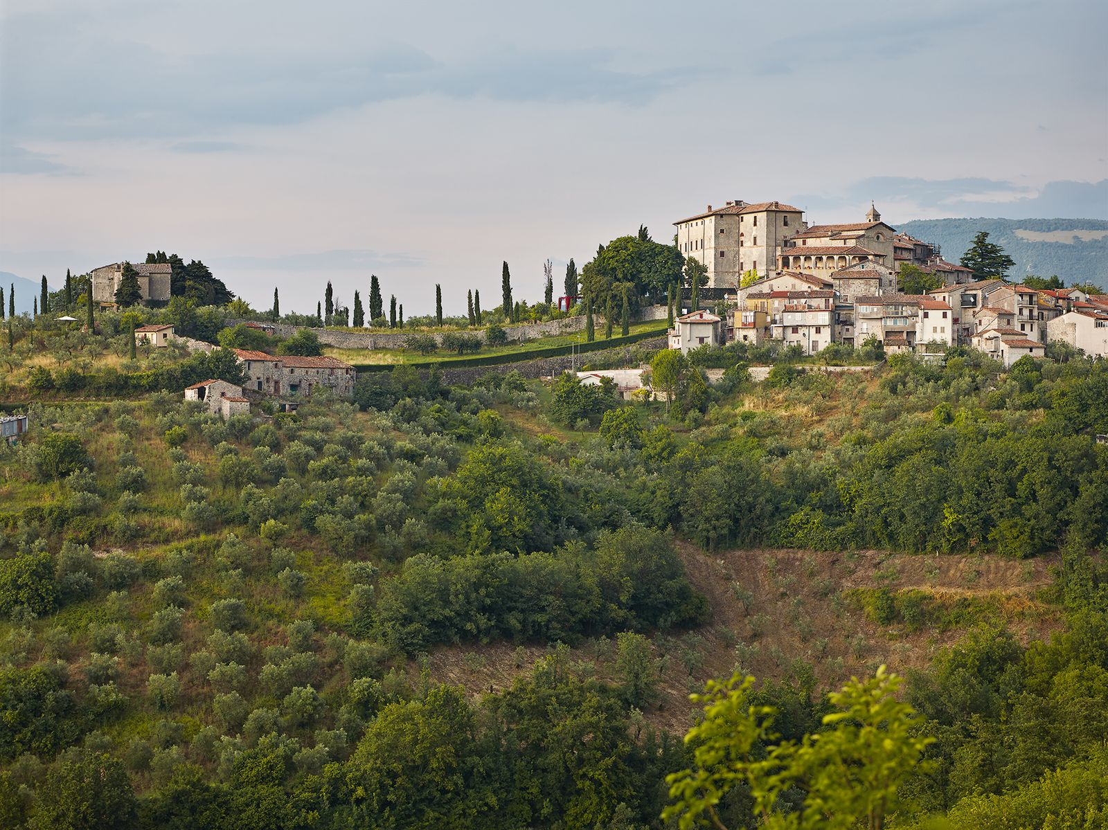 Image may contain Nature Outdoors Countryside Grassland Field Rural Scenery Plant Tree and Farm