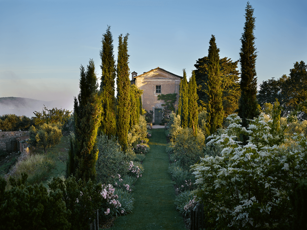 Image may contain Plant Tree Fir Abies Conifer and Outdoors