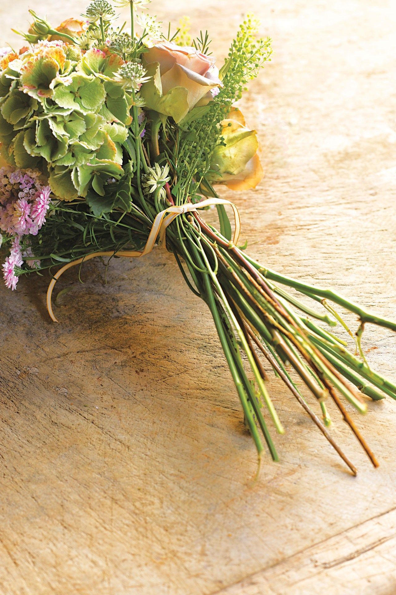 Image may contain Plant Graphics Art Flower Blossom Floral Design Pattern Flower Arrangement and Flower Bouquet