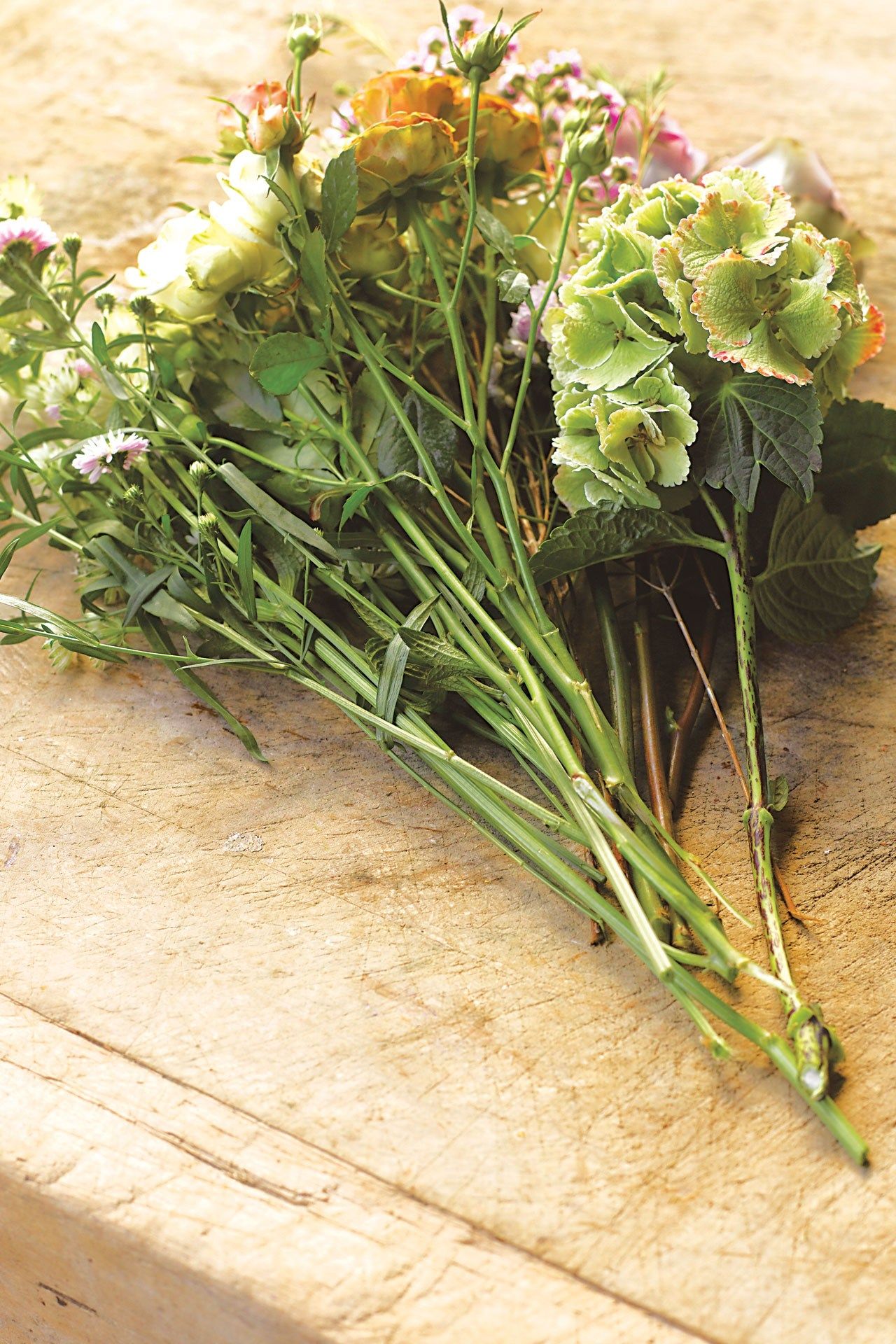 Image may contain Plant Vase Pottery Potted Plant Jar Herbs Herbal Planter Vegetation Food and Vegetable