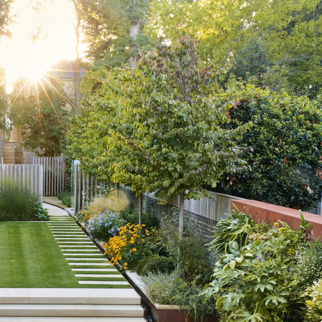 A masterclass in city garden design by Tom Massey