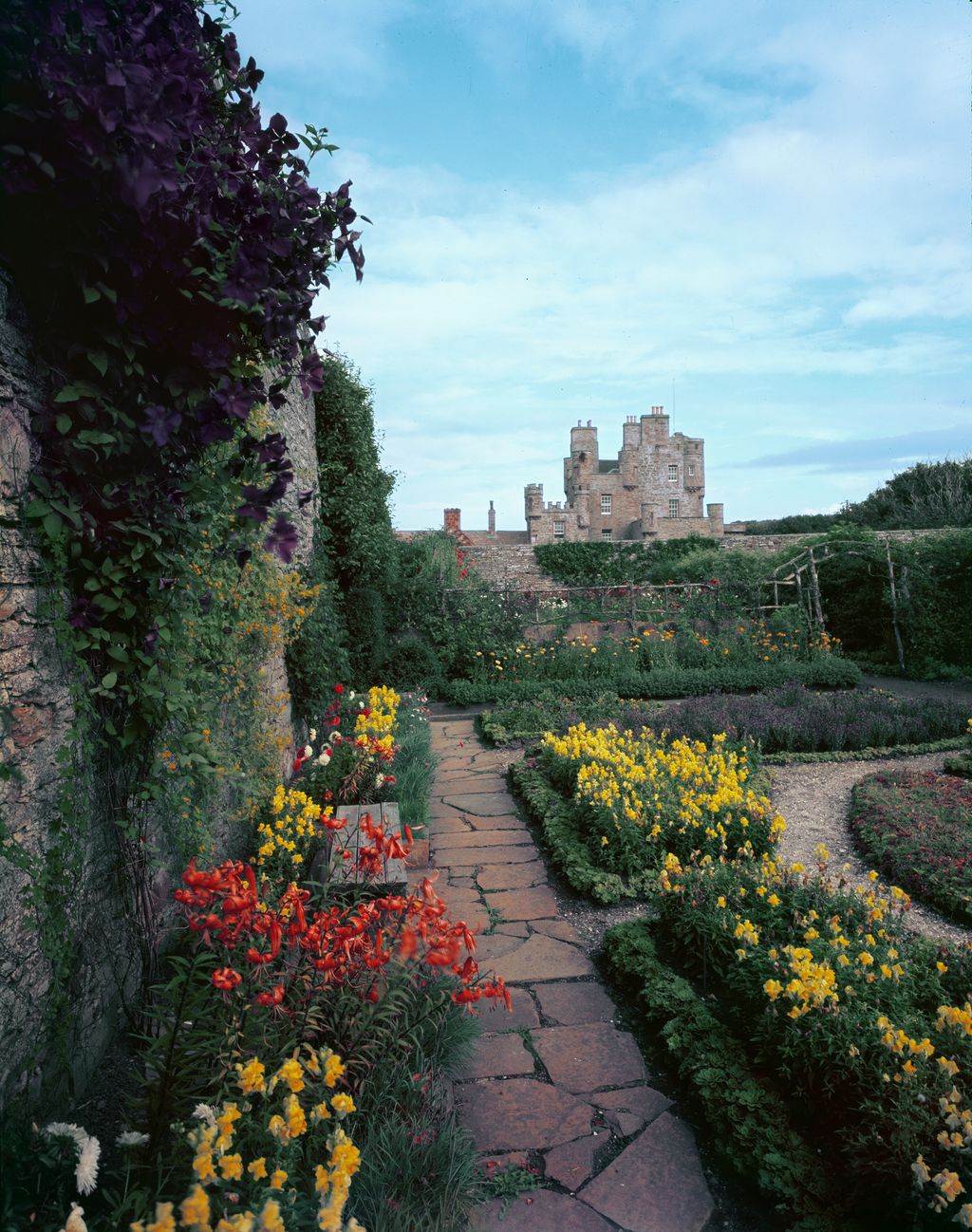 Image may contain Flagstone Outdoors Garden Arbour and Plant
