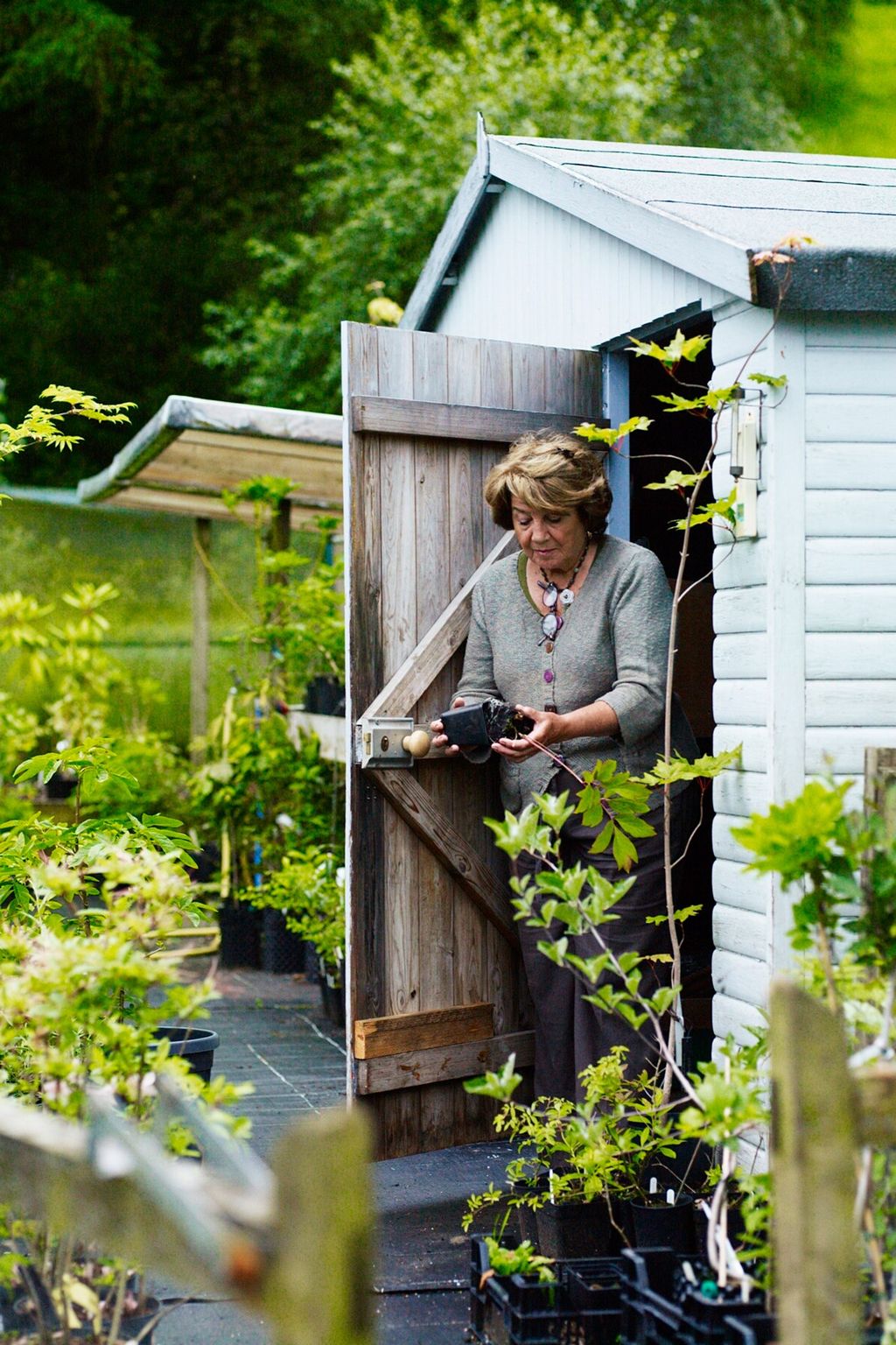 Potting Shed The Garden of Designer Arabella LennoxBoyd | Designers' Gardens
