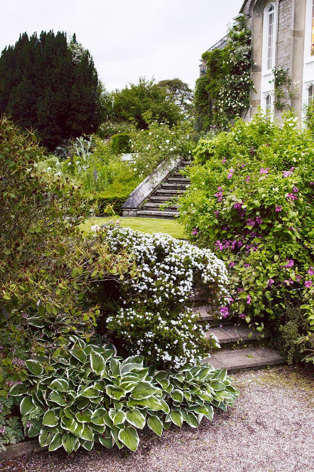 Steps to Terrace The Garden of Designer Arabella LennoxBoyd | Designers' Gardens