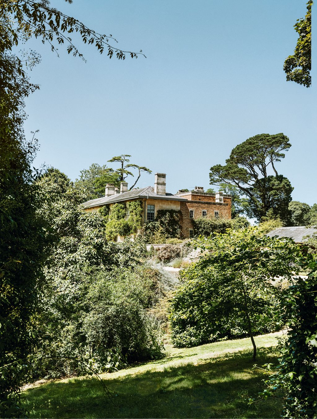 Image may contain Outdoors Garden Arbour Nature and Plant