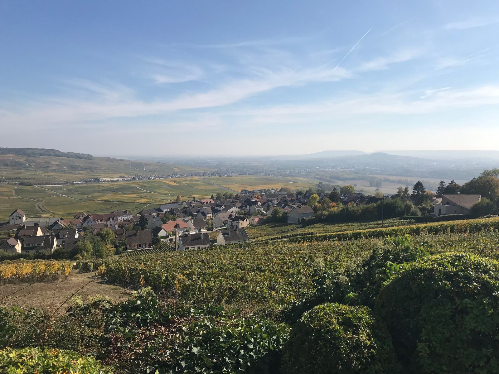 Image may contain Outdoors Scenery Nature Landscape Countryside Aerial View and Rural