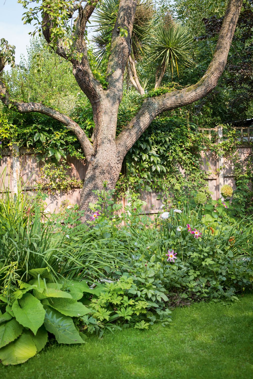 Image may contain Plant Tree Tree Trunk Pottery Vase Potted Plant Jar Garden and Outdoors