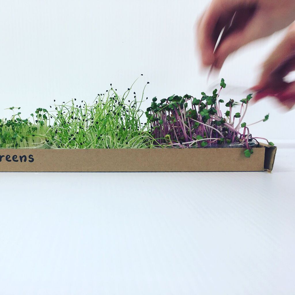 Image may contain Plant Human Person Furniture Tabletop and Art