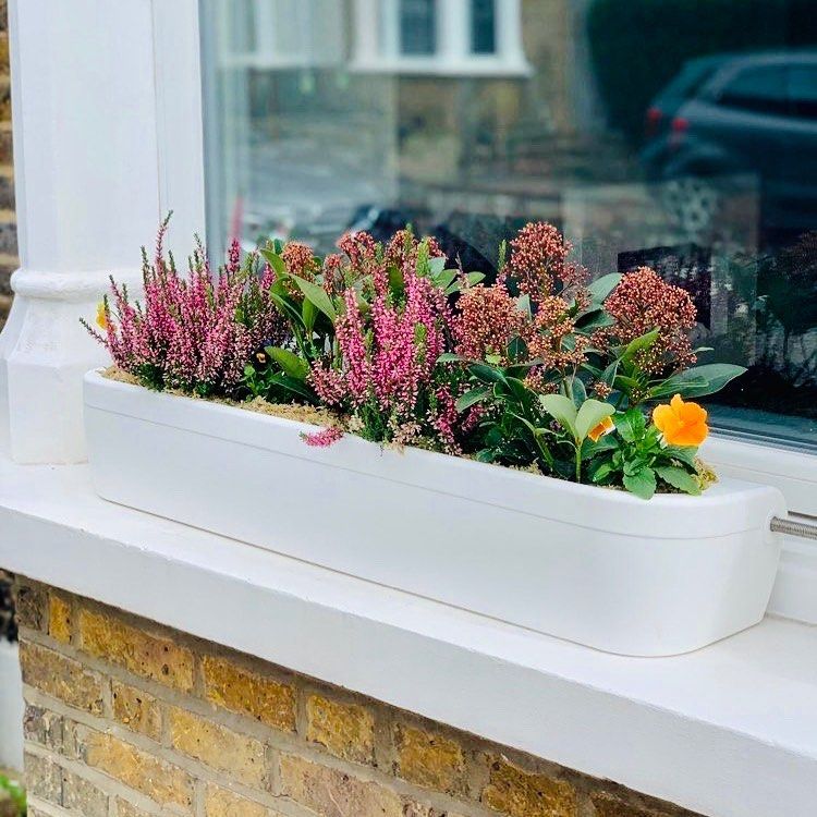 Image may contain Plant Flower Blossom Vehicle Transportation Automobile Car Vase Pottery Potted Plant and Jar