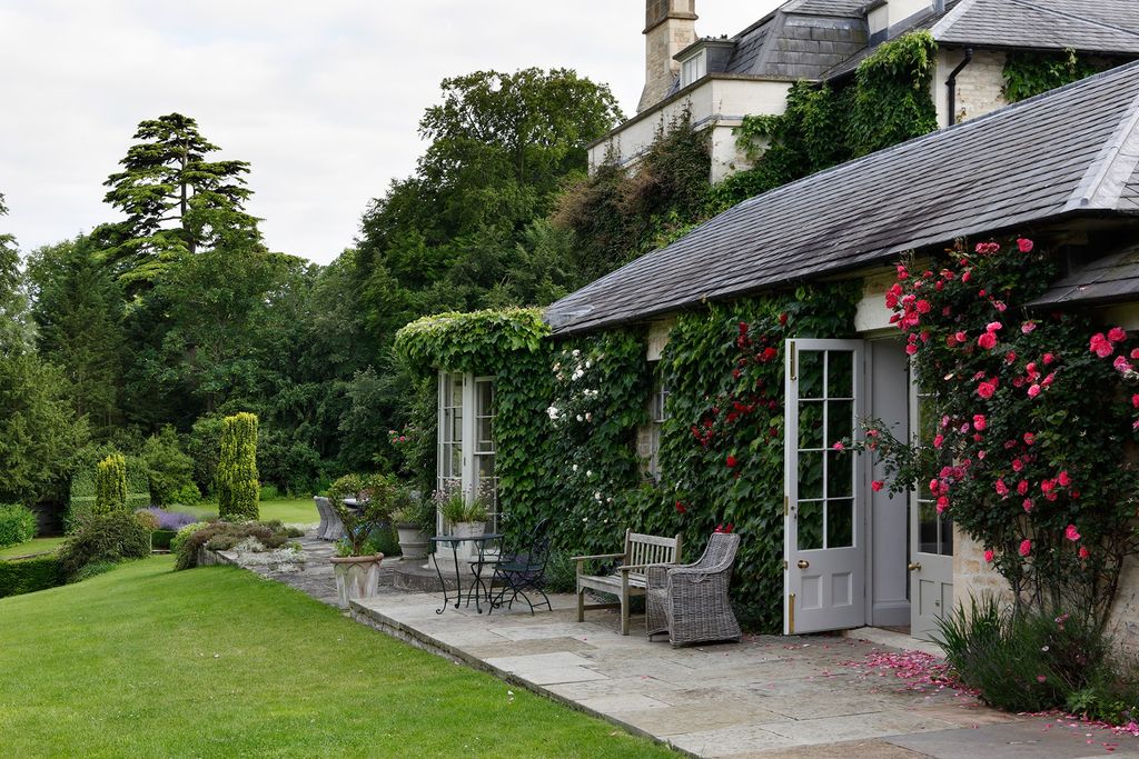 Image may contain Outdoors Patio Plant Yard Nature and Flagstone