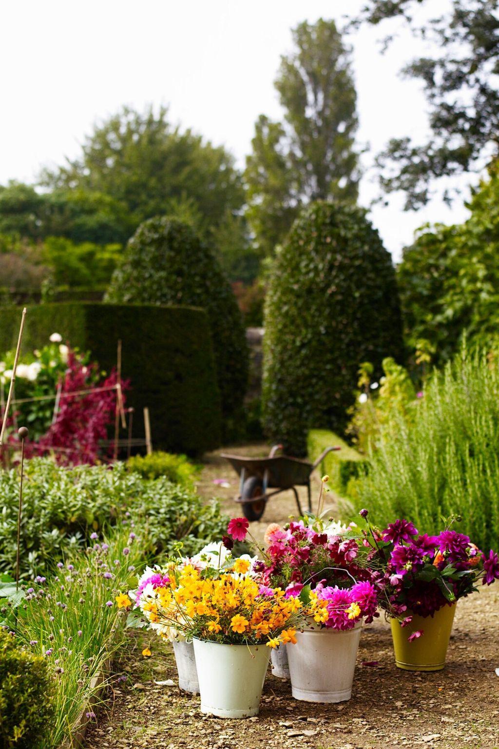 Bright buckets of fresh cut organically grown flowers.