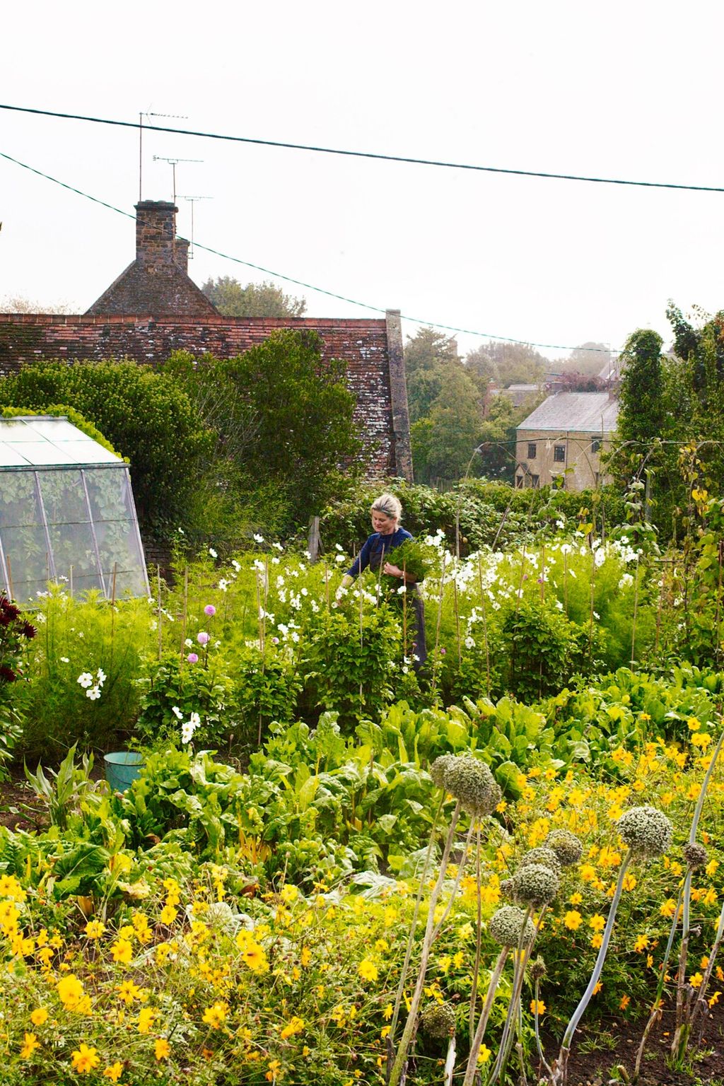 Flower Rows  An English Flower Garden | Garden Design Ideas