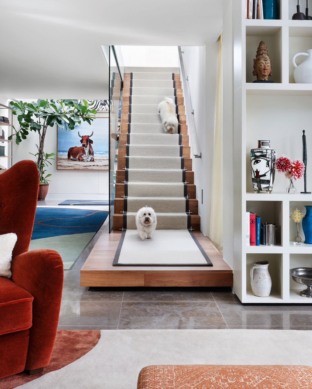 The family dog descends the stairs in this London house by Sophie Ashby which are carpeted with a runner from Crucial...