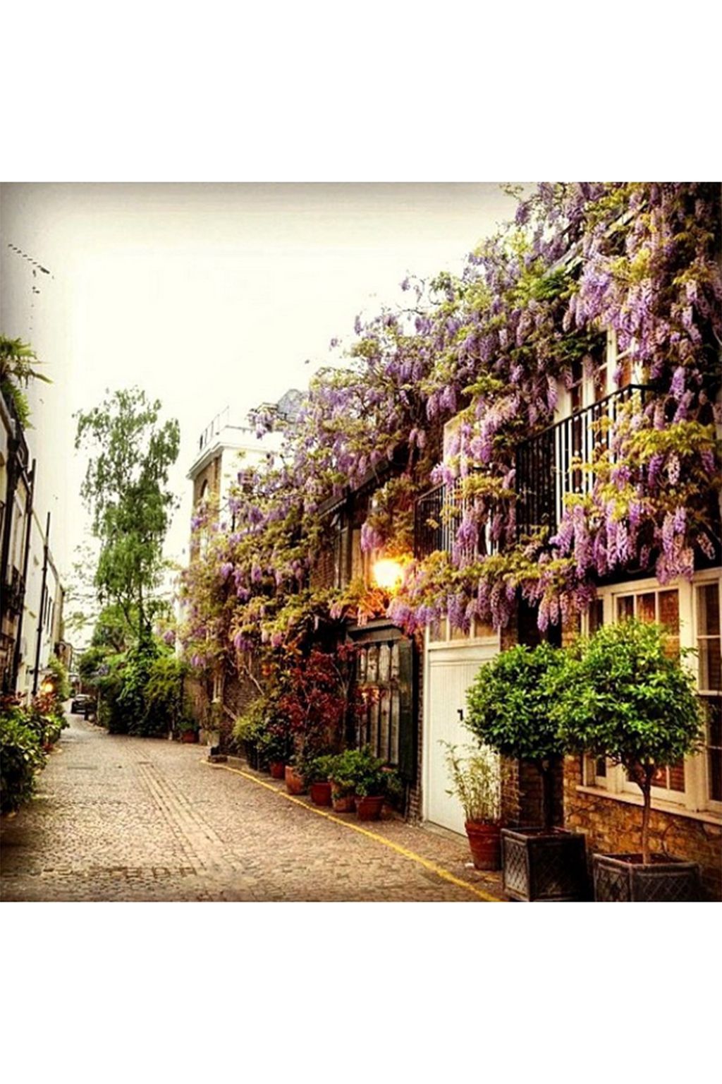 mrscaudery | Mewsings of Instagram