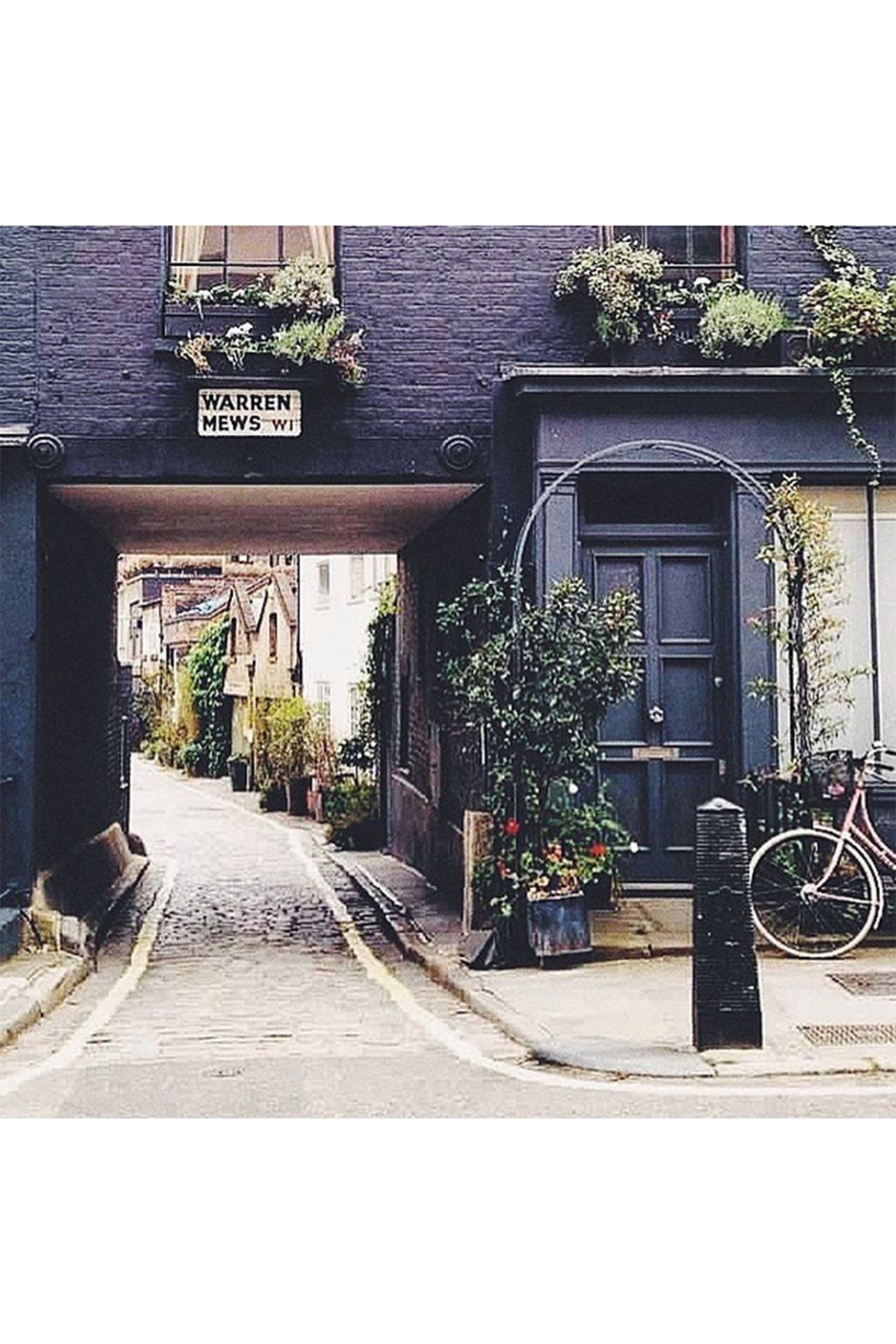 ericasiegel | Mewsings of Instagram