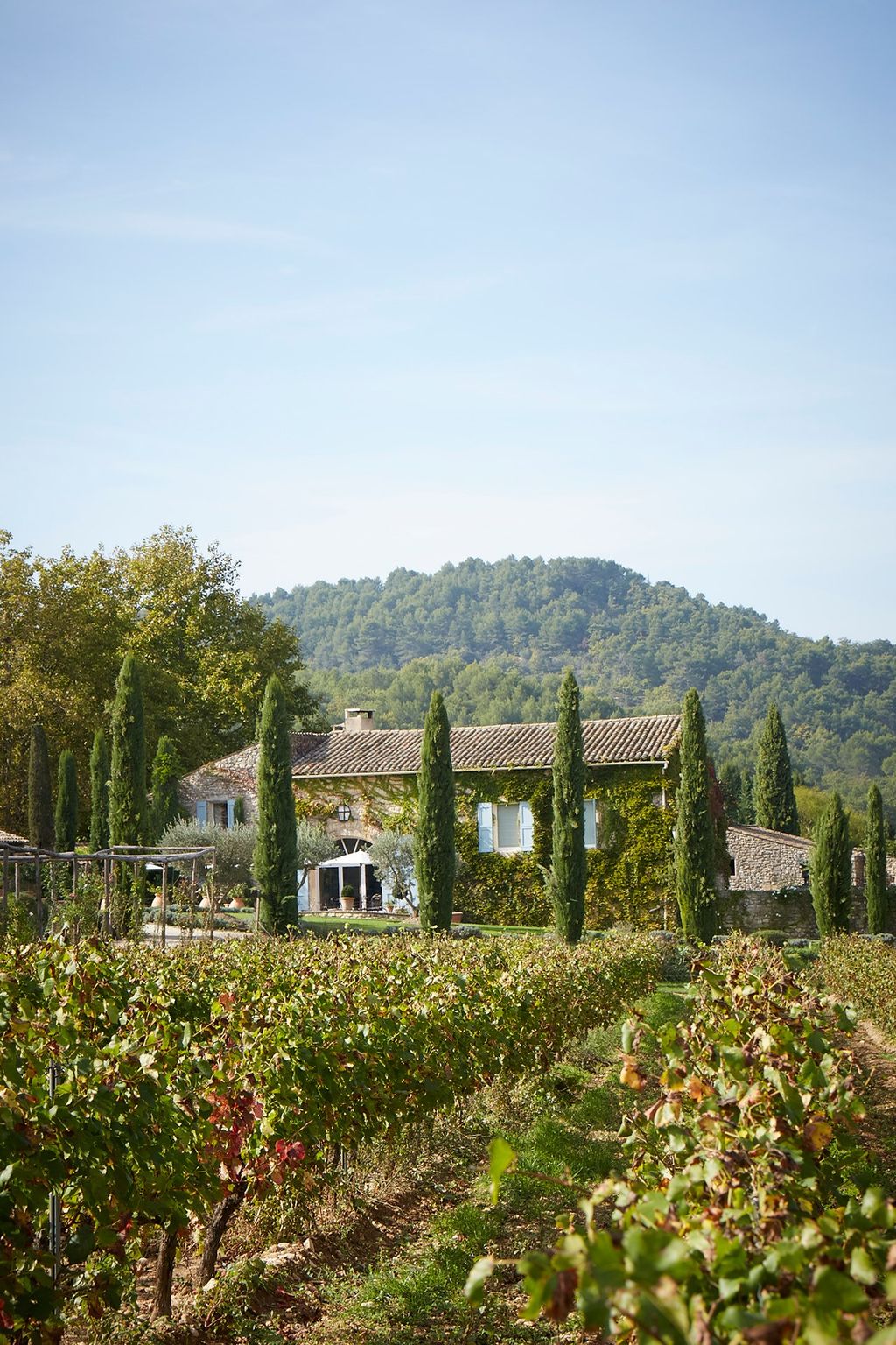 La Bastide Vineyard | Jocelyne Sibuet Hotels