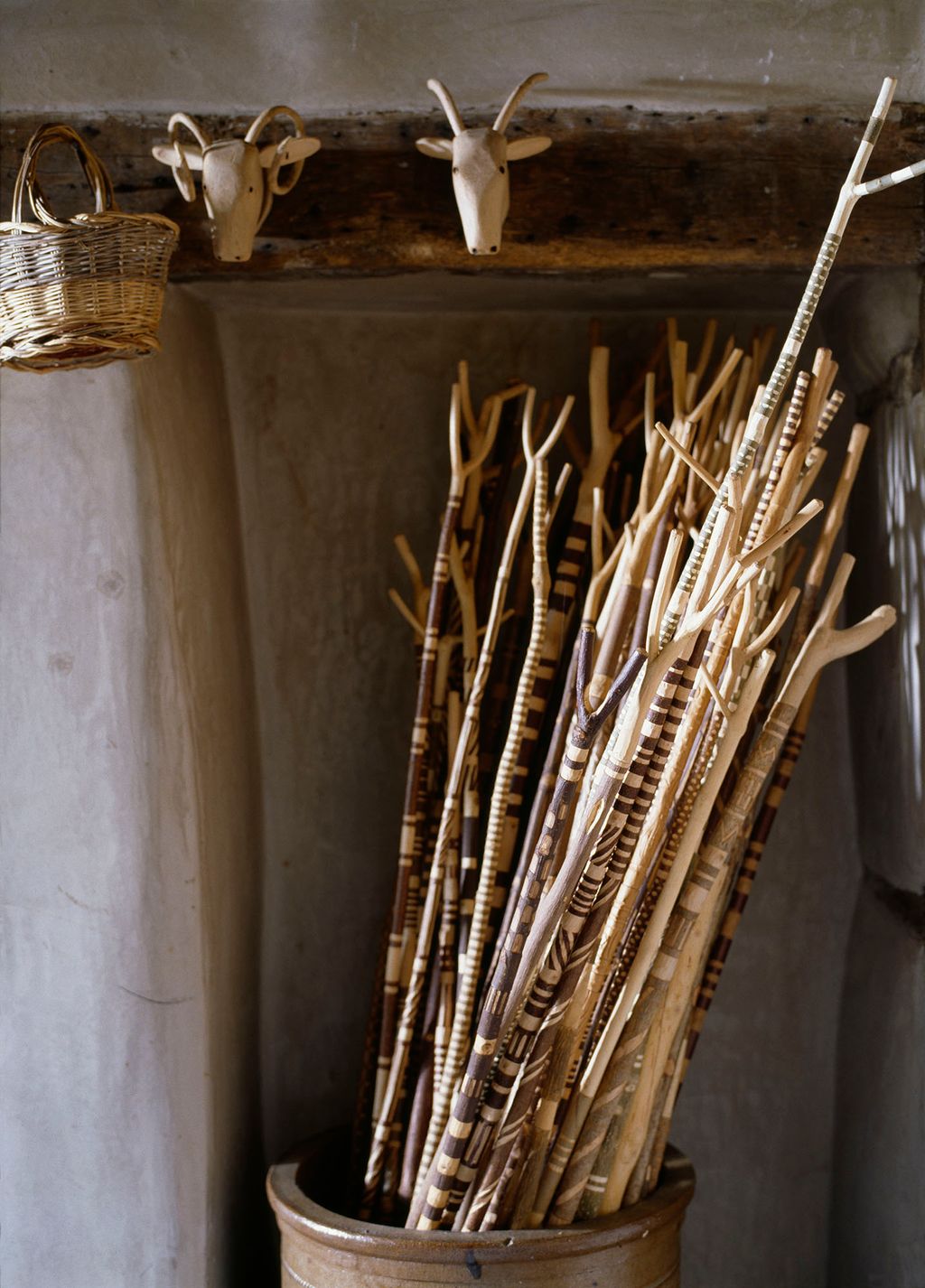 Image may contain Animal Wildlife Mammal and Antelope