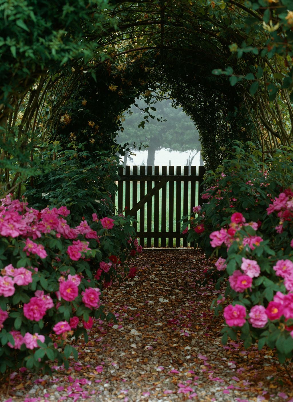 Image may contain Garden Arbour Outdoors and Plant