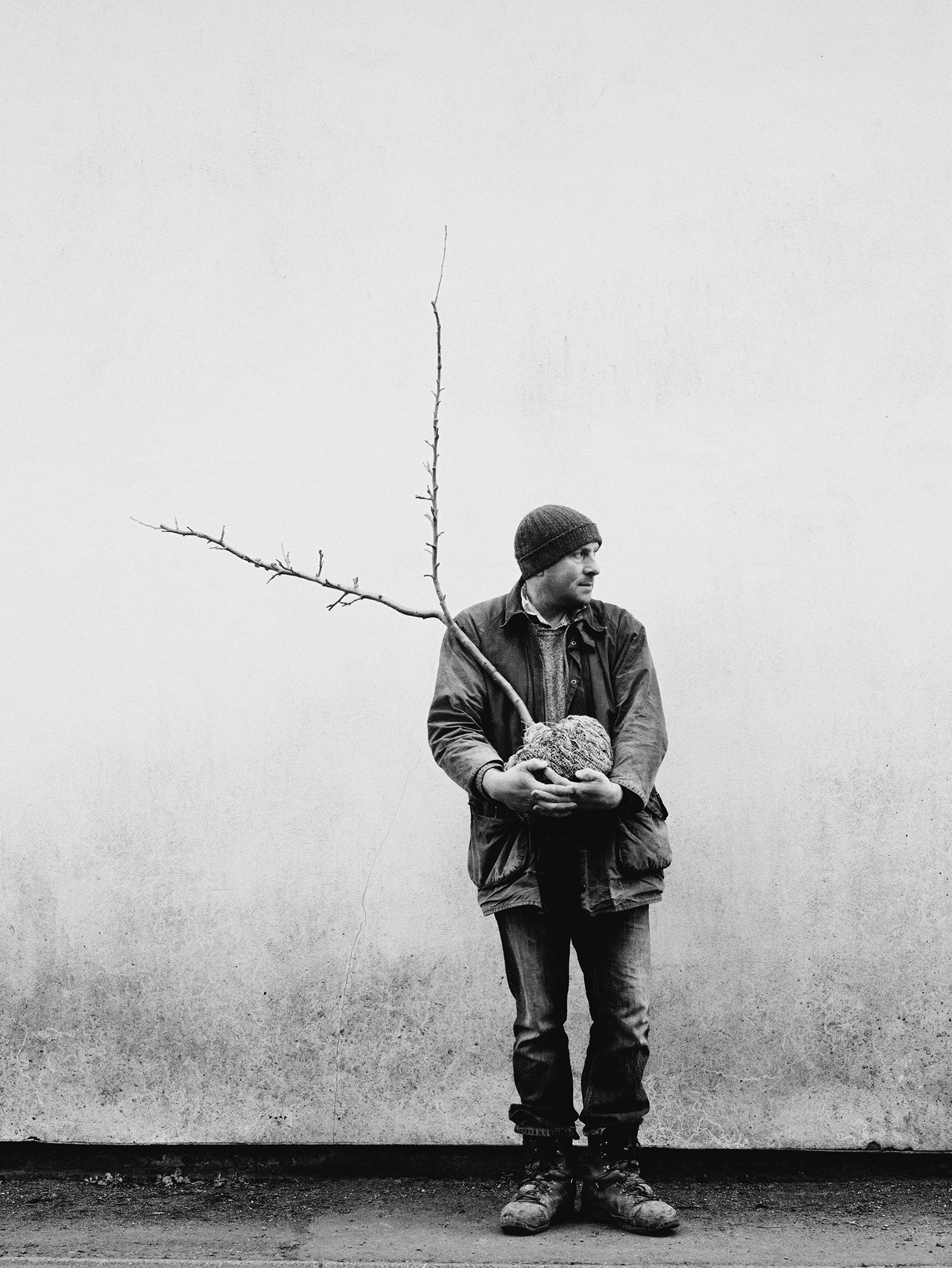 Chris holds a Yshape cordon apple tree.