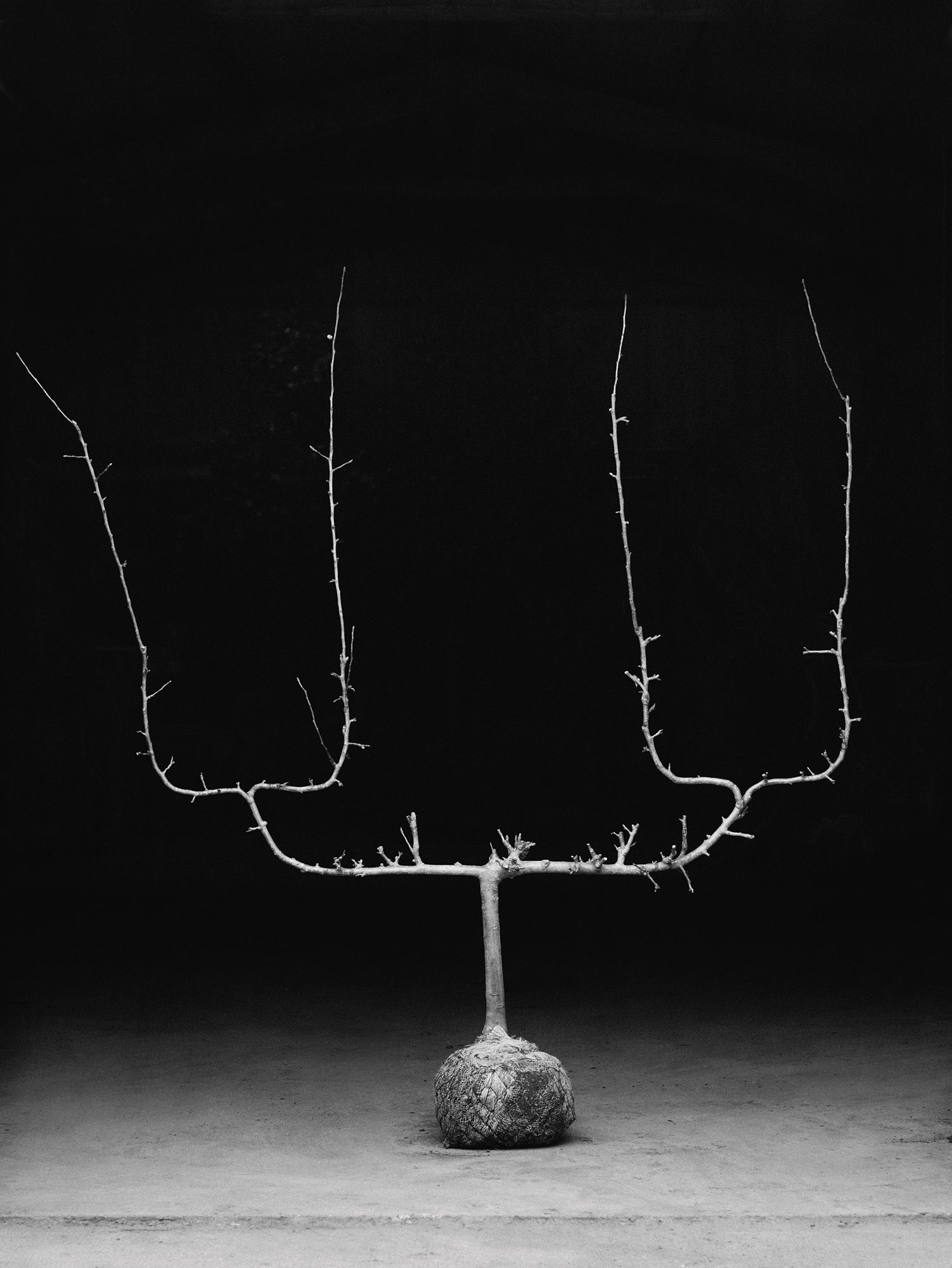 Image may contain Text