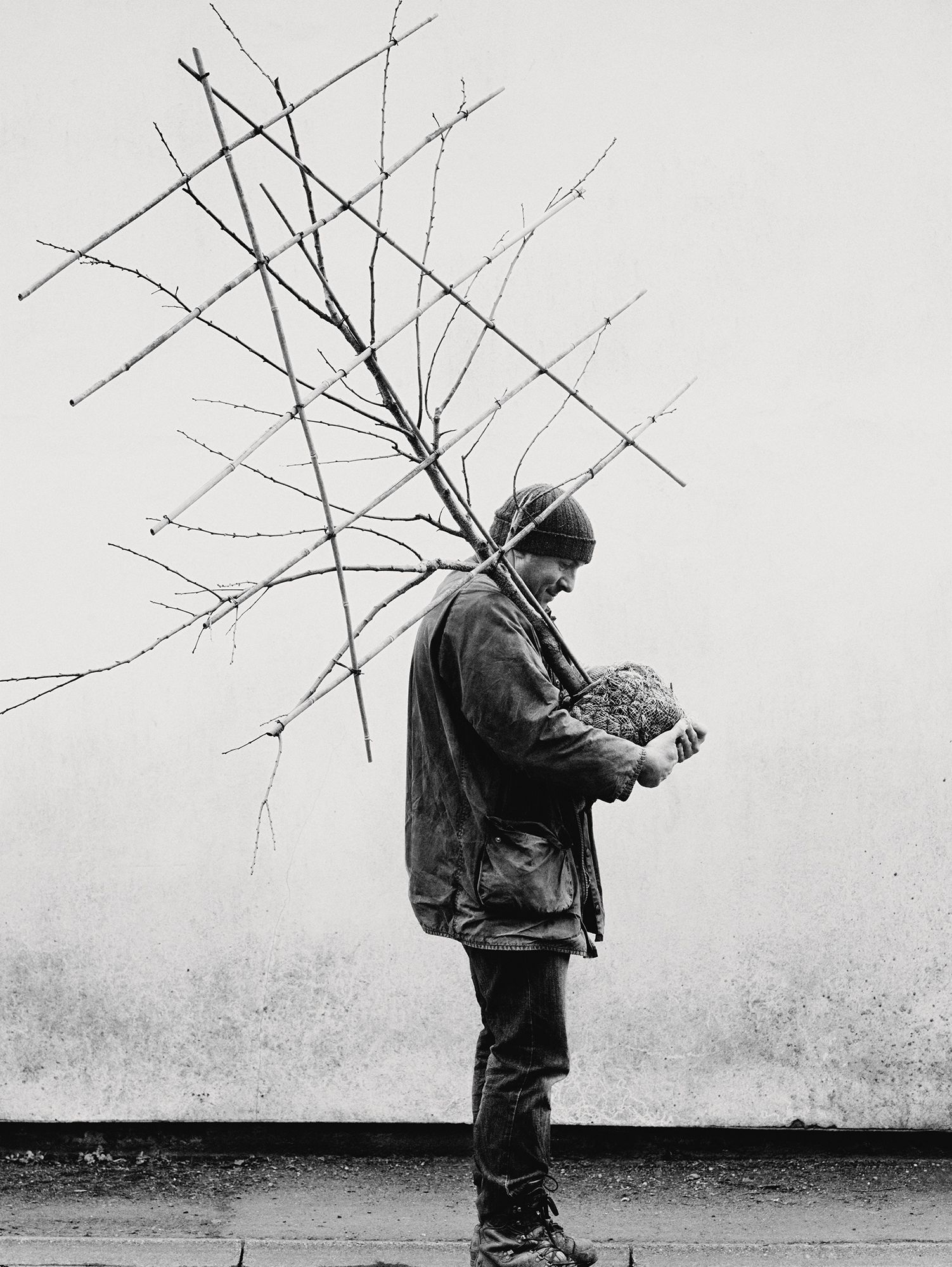 Chris with a fantrained apricot.