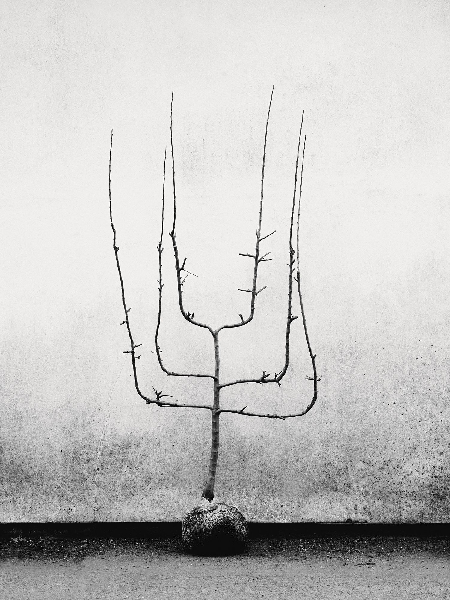 Image may contain Drawing Art and Sketch