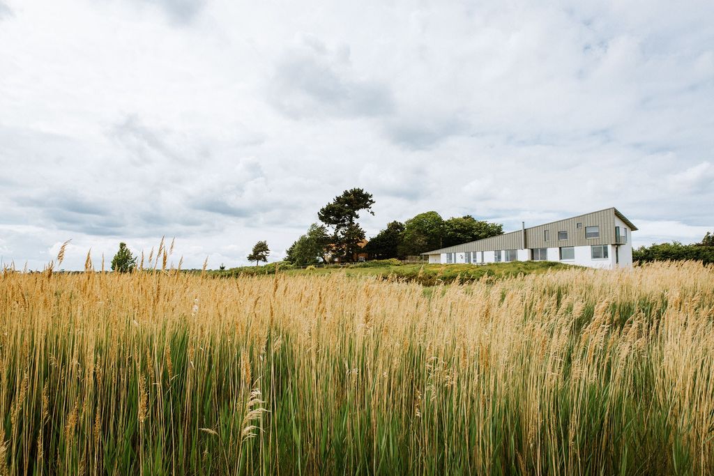 Image may contain Plant Food Produce Grass Grain Vegetable and Field