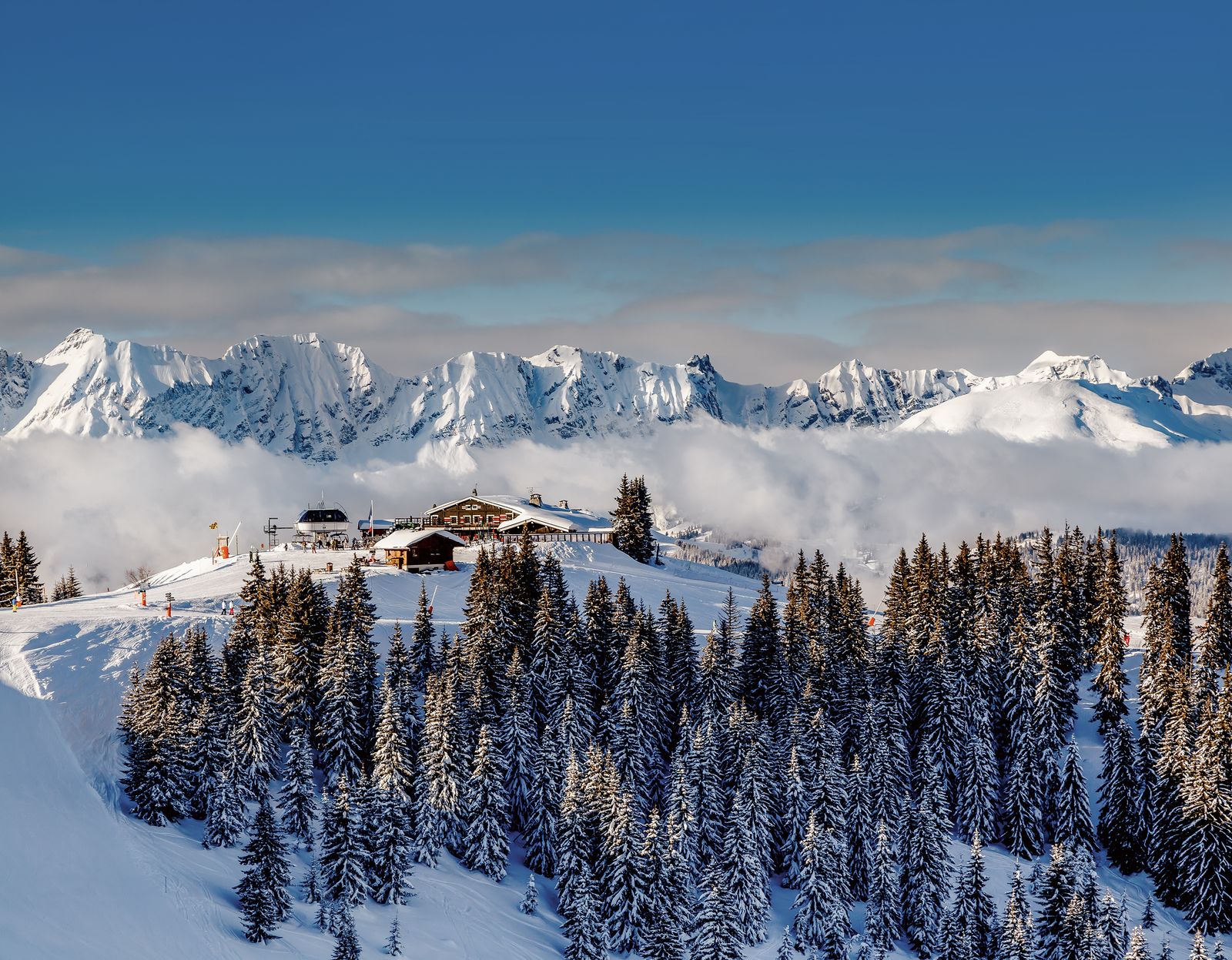 Image may contain Tree Plant Fir Abies Nature Outdoors Mountain Mountain Range Ice Conifer and Pine