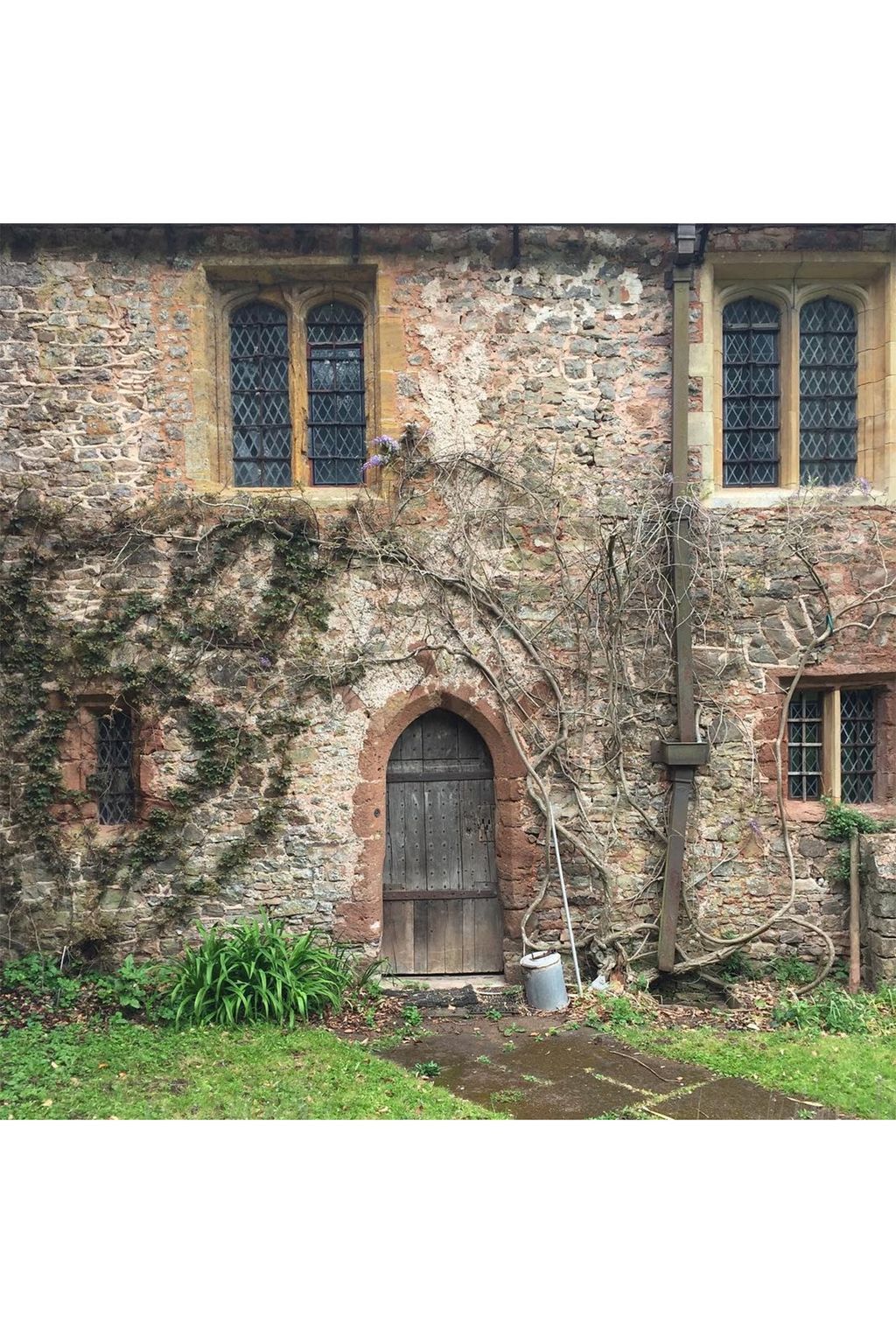 Greenham Barton | Views of the English countryside from Instagram