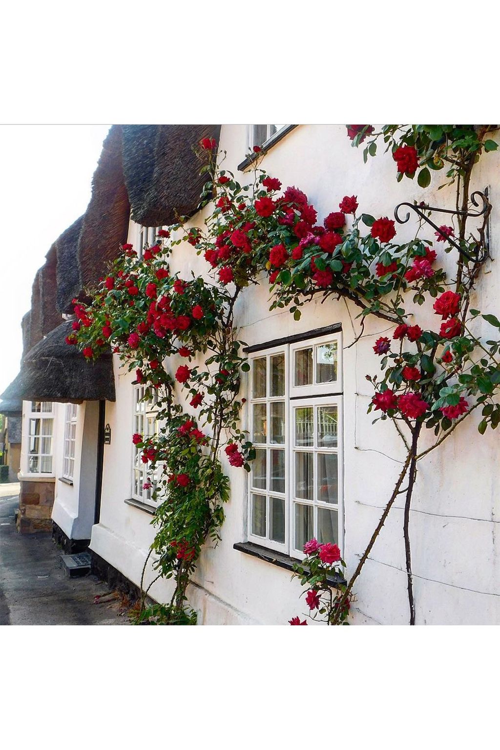Hallaton roses | Views of the English countryside from Instagram