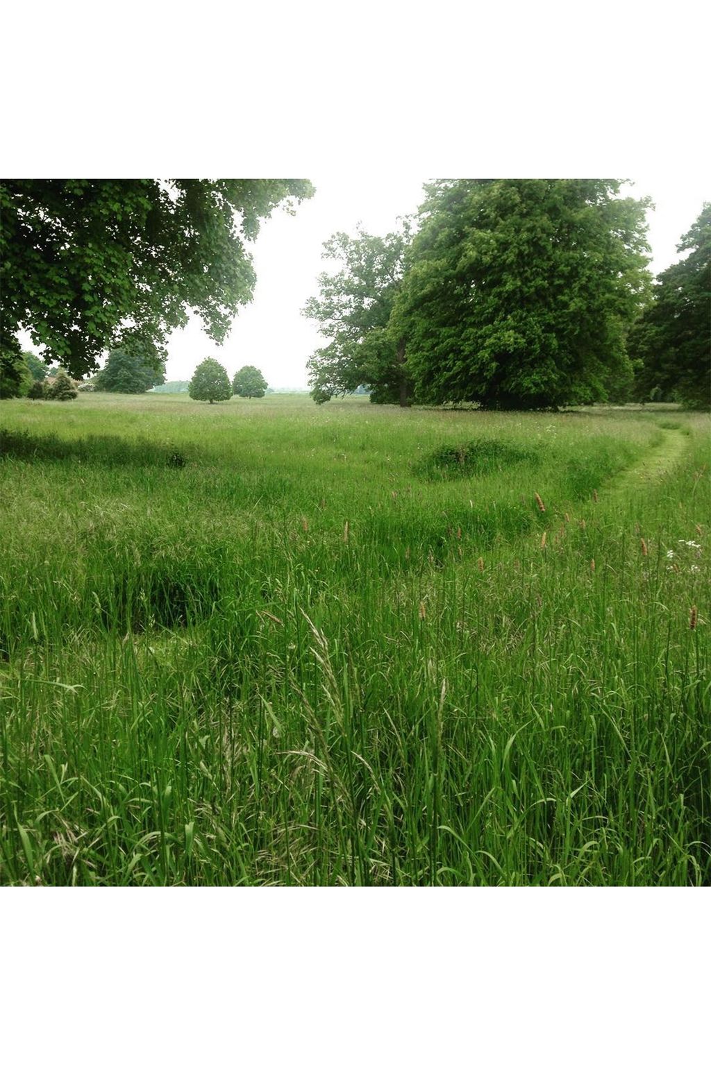 Kingston Bagpuize | Views of the English countryside from Instagram