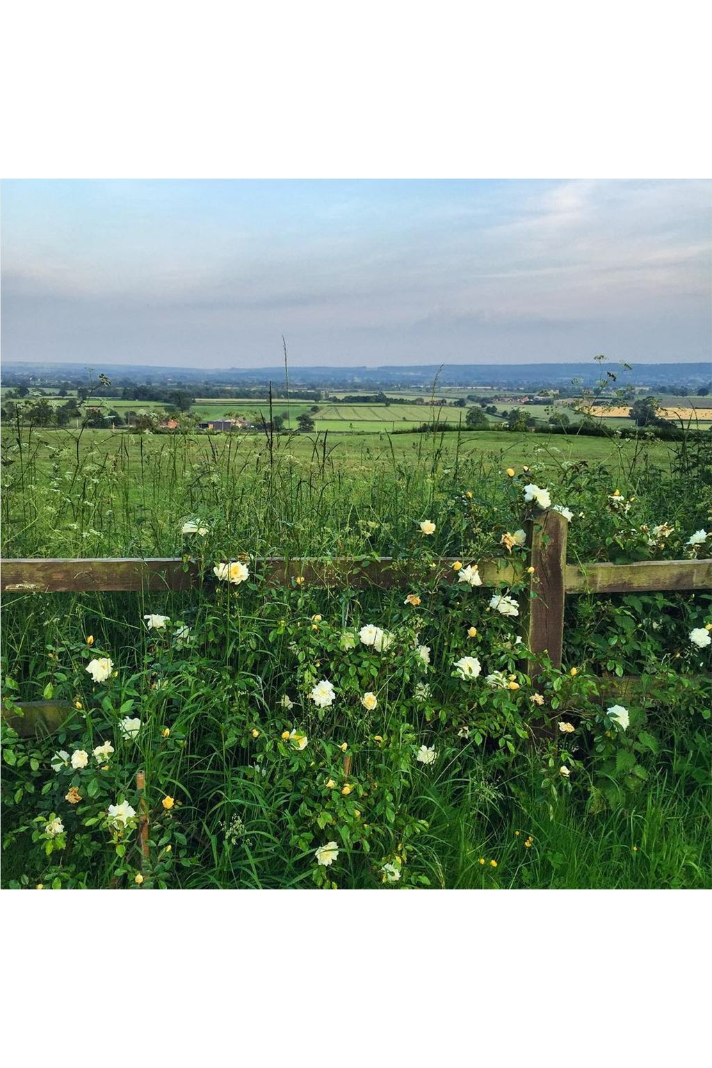 Wiltshire | Views of the English countryside from Instagram