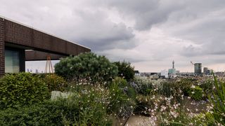 How to design a roof garden according to a top garden designer