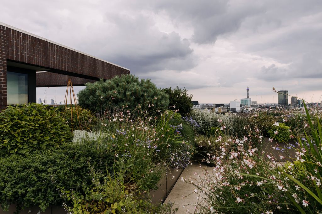 If you are lucky enough to have a roof big enough to grow plants on there's no excuse for not creating a beautiful roof...