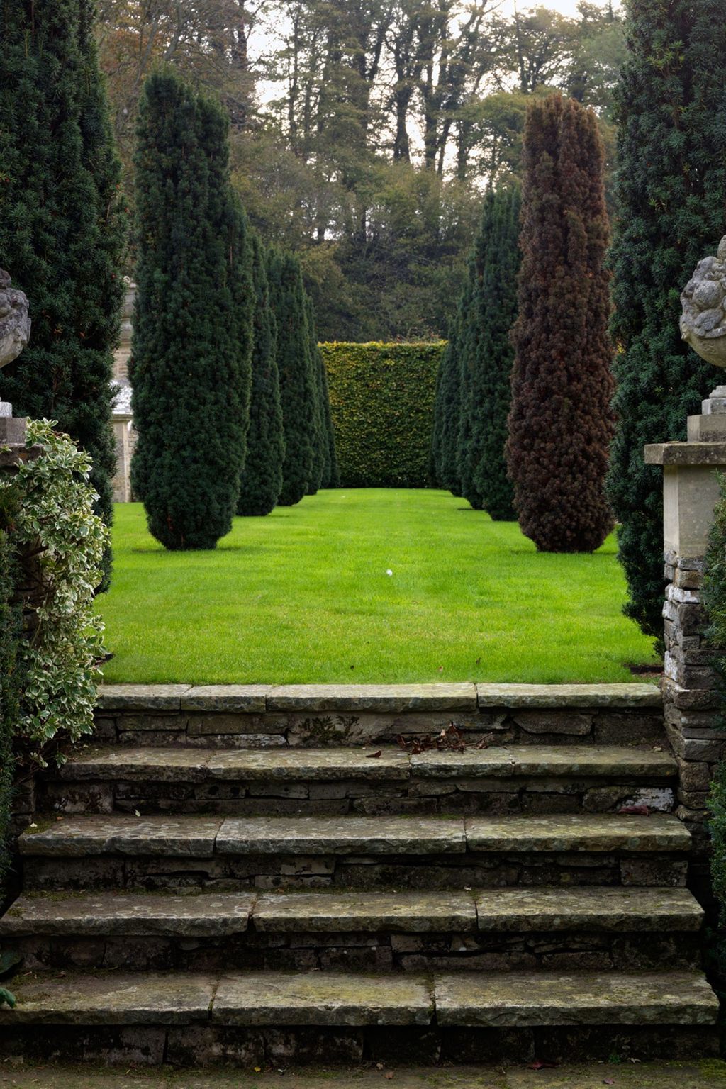 Image may contain Outdoors Garden Arbour and Plant