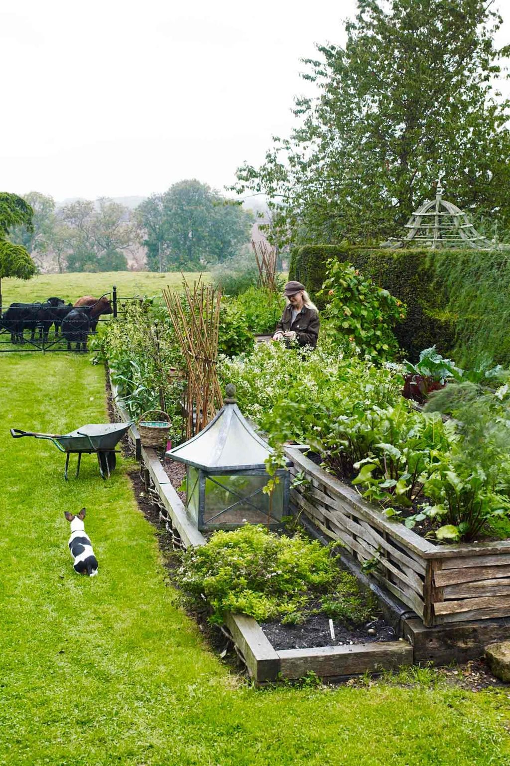Kitchen Garden  Bunny Guinness' Cambridgeshire Garden | Designers' Gardens