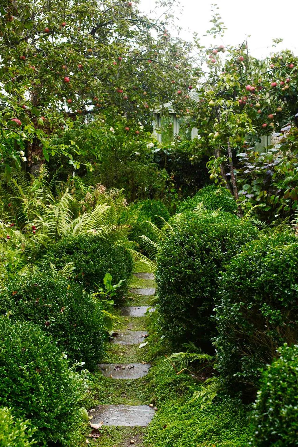 Garden Path  Bunny Guinness' Cambridgeshire Garden | Designers' Gardens