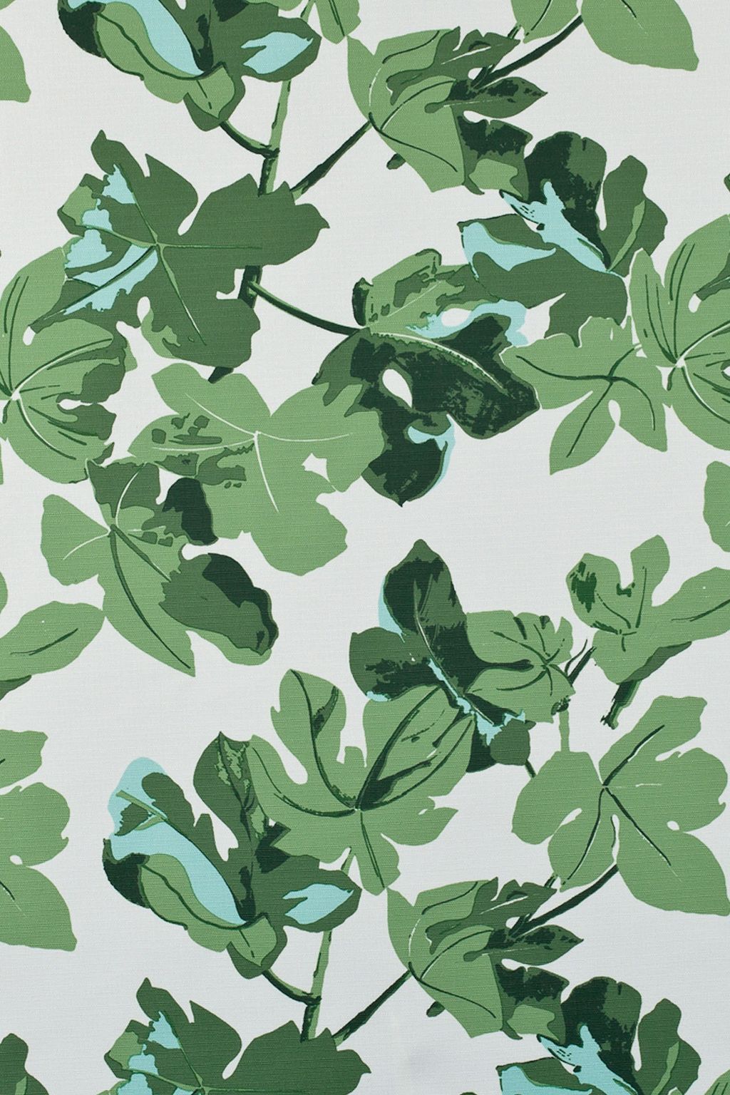 Image may contain Plant Leaf Food Vegetable and Produce