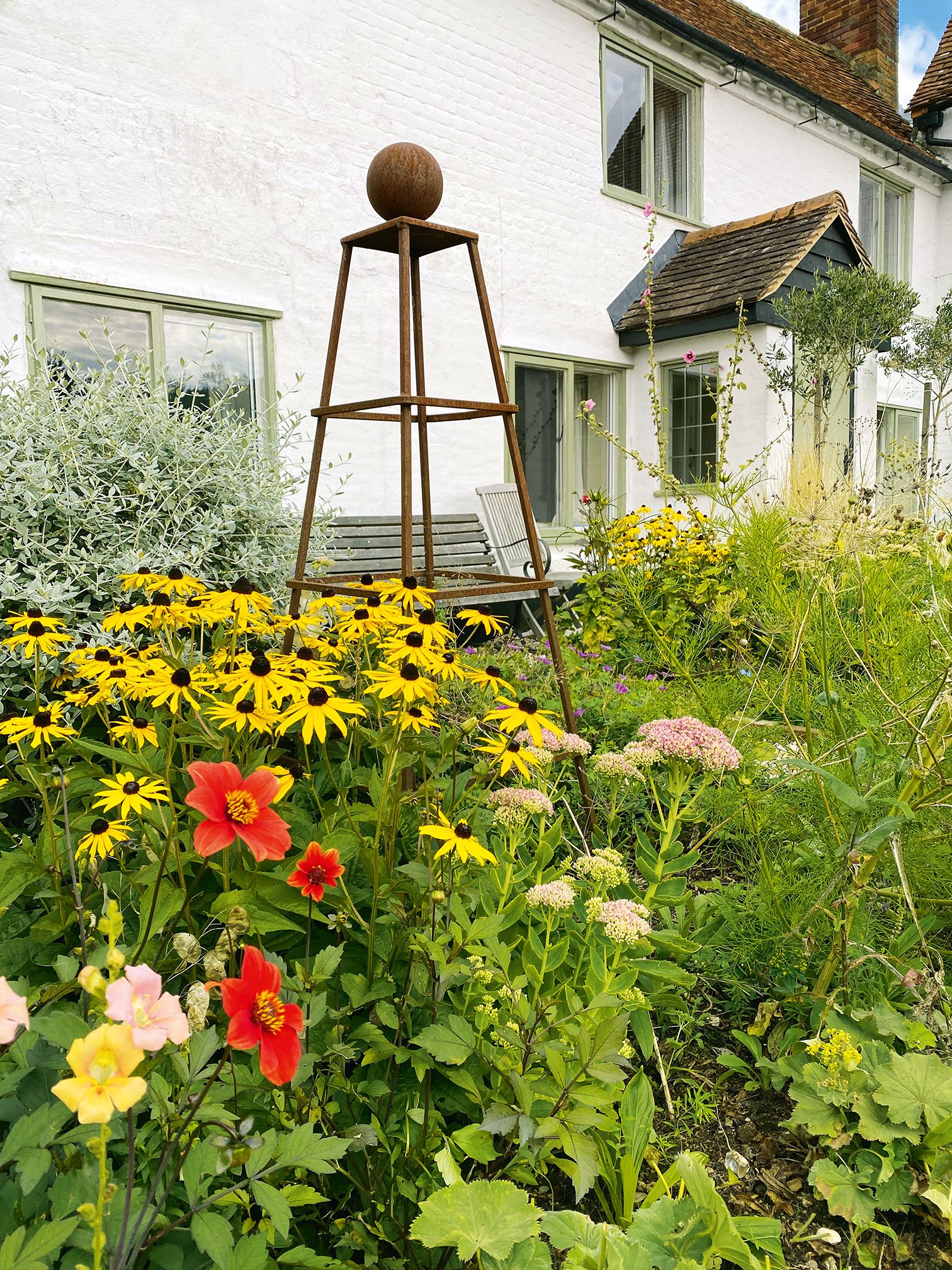 Rudbeckia fulgida var. sullivantii ‘Goldsturm and a ‘Bishops Children dahlia grown from seed in the front garden.