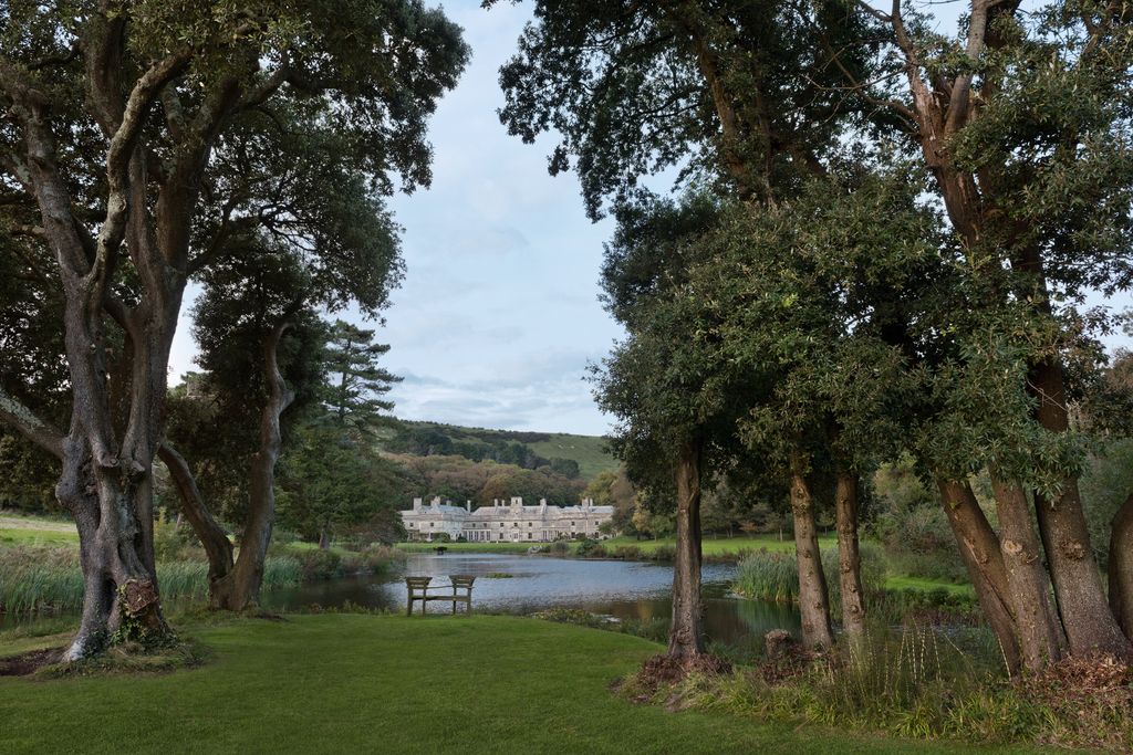 Image may contain Plant Tree Tree Trunk Grass and Outdoors