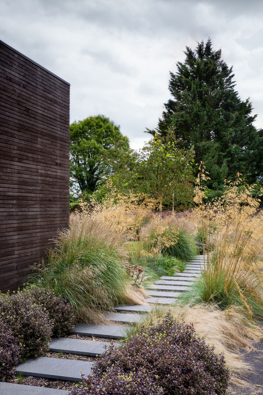 Image may contain Plant Grass Path Tree Outdoors and Vegetation