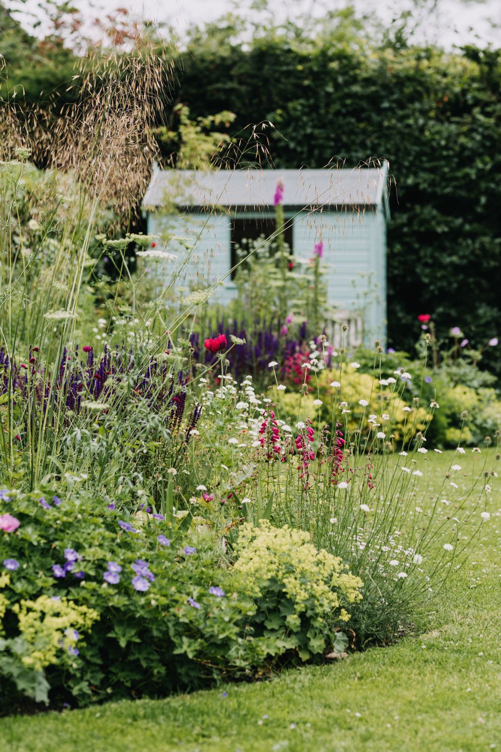 What to plant in June