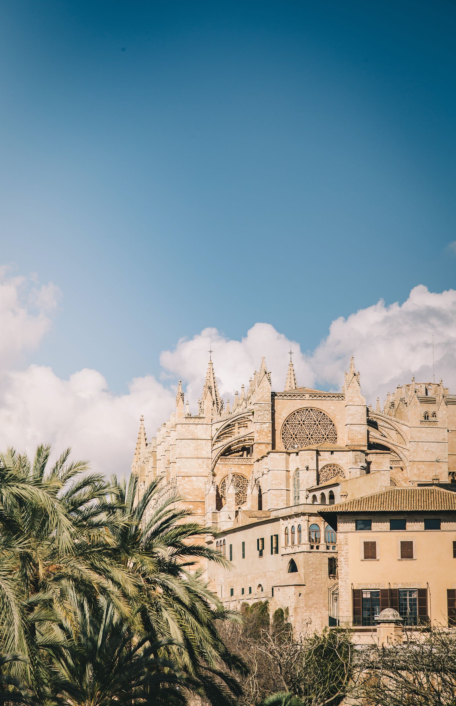 Palma's cathedral