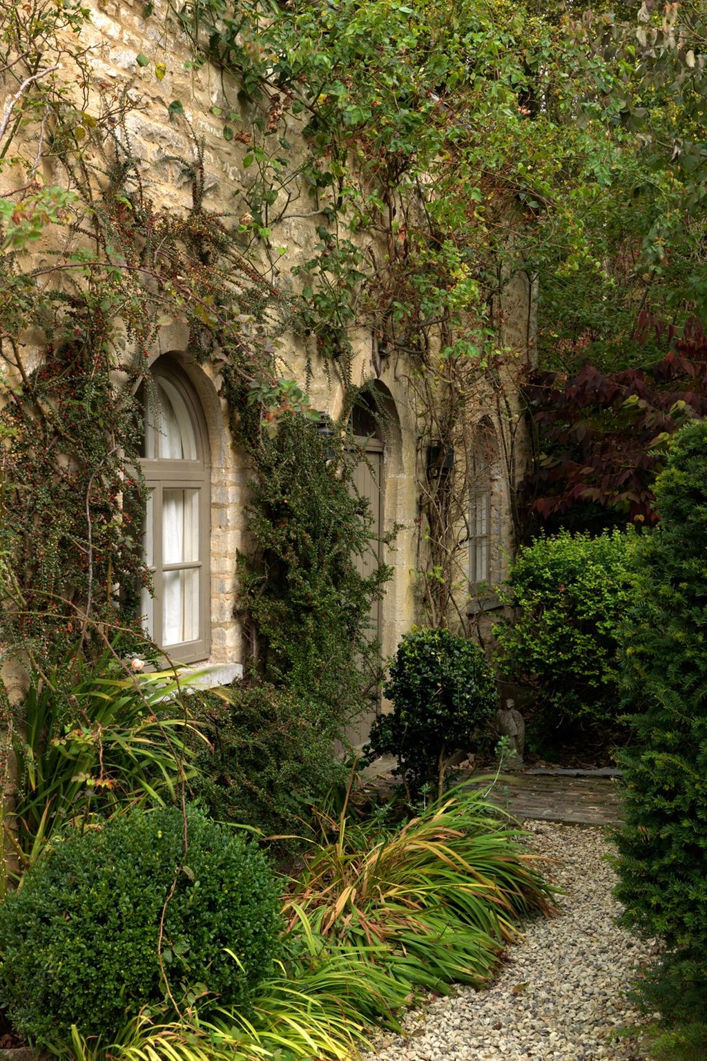 Image may contain Plant Tree and Ivy