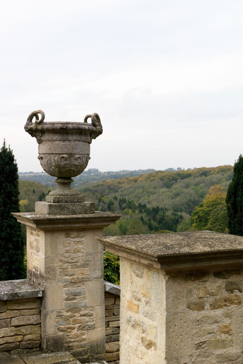 Image may contain Tree Plant Fir Abies Flagstone and Conifer